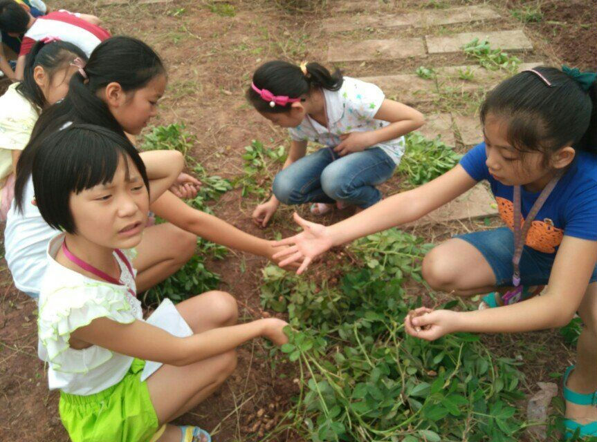 花生收獲了?。? width=80 height=80 />
								</a>
								
							</li><li>
								<a  href=